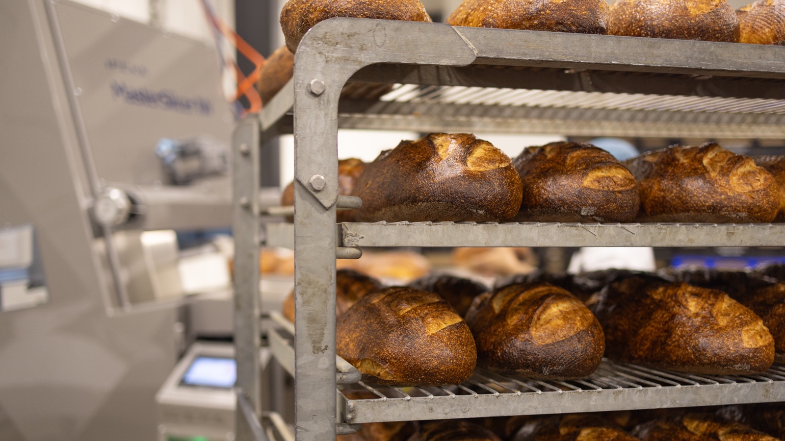 Free baked rustic bread in racks, Ipeka Masterslicer 1W at the background