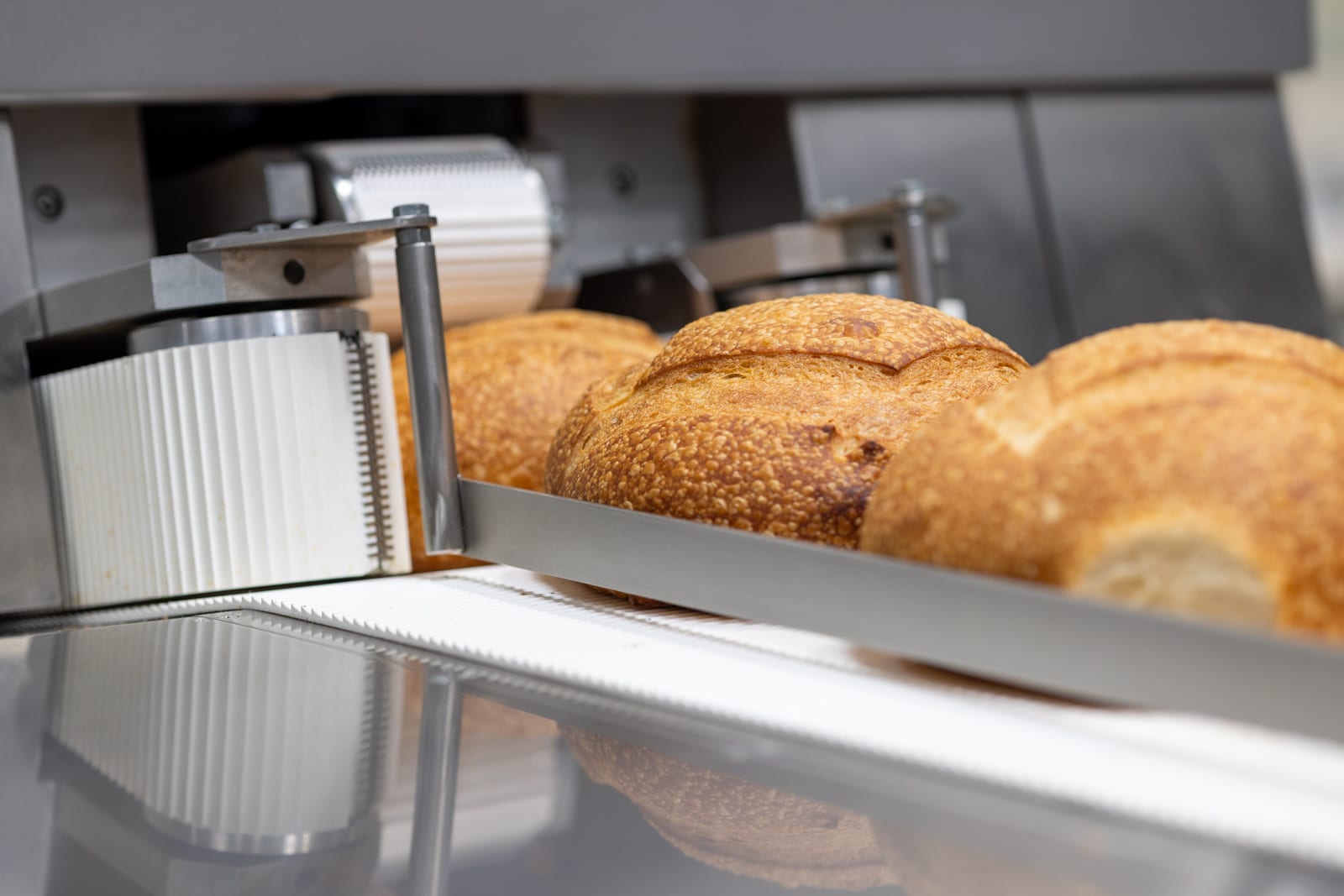 Sourdough breads entering into Masterslicer